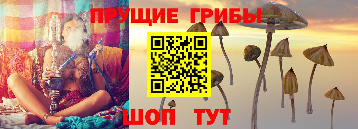 Галлюциногенные грибы мицелий  Вход с VPN  Псилоцибиновые грибы Psilocybine cubensis  Димитровград 